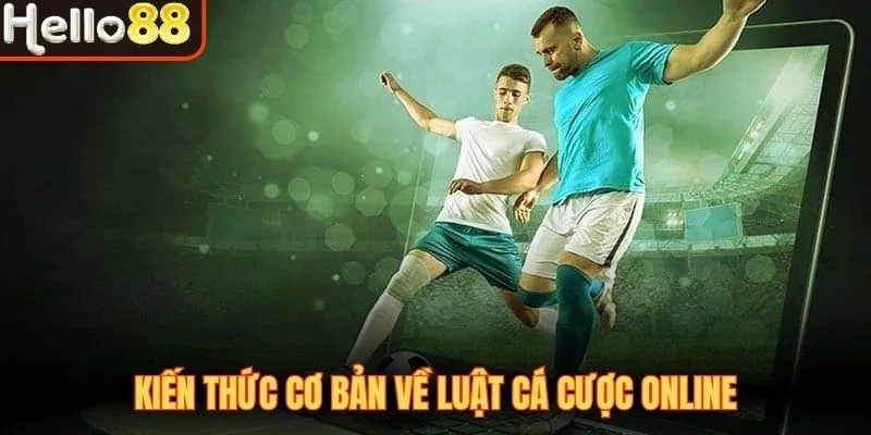 Kiến thức cơ bản về luật cá cược online