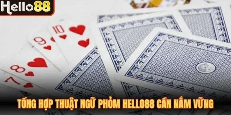 Tổng hợp thuật ngữ Phỏm Hello88 cần nắm vững